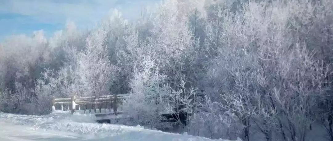 奕行記|奕路向北，駛向雪國阿爾山